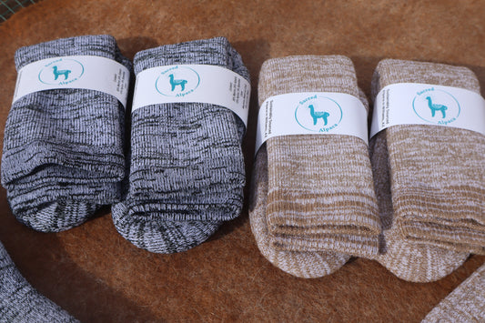 Embracing Sustainability: A Journey Through Fiber and Fashion