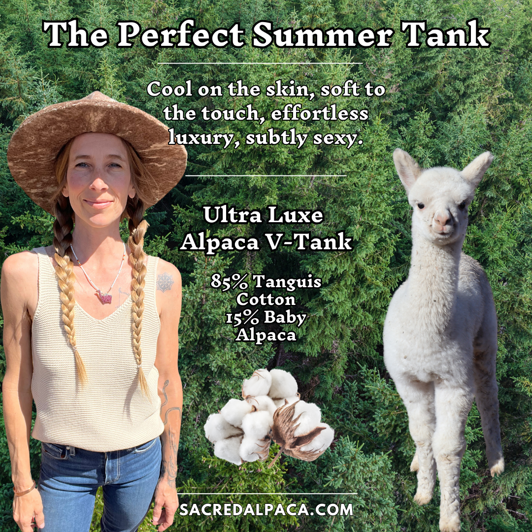 Alpaca V-Tank | Cream or Black