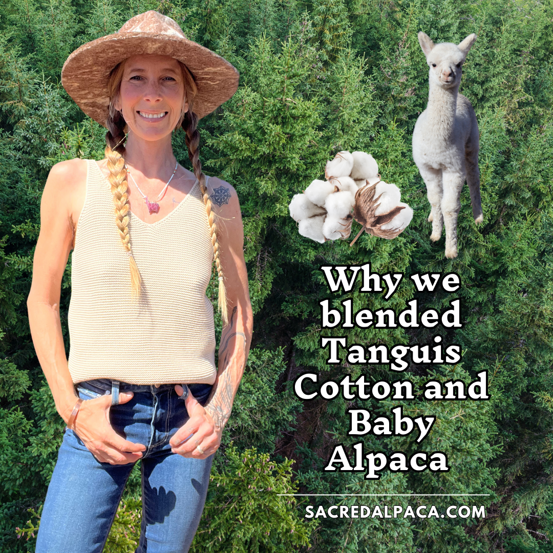 Alpaca V-Tank | Cream or Black